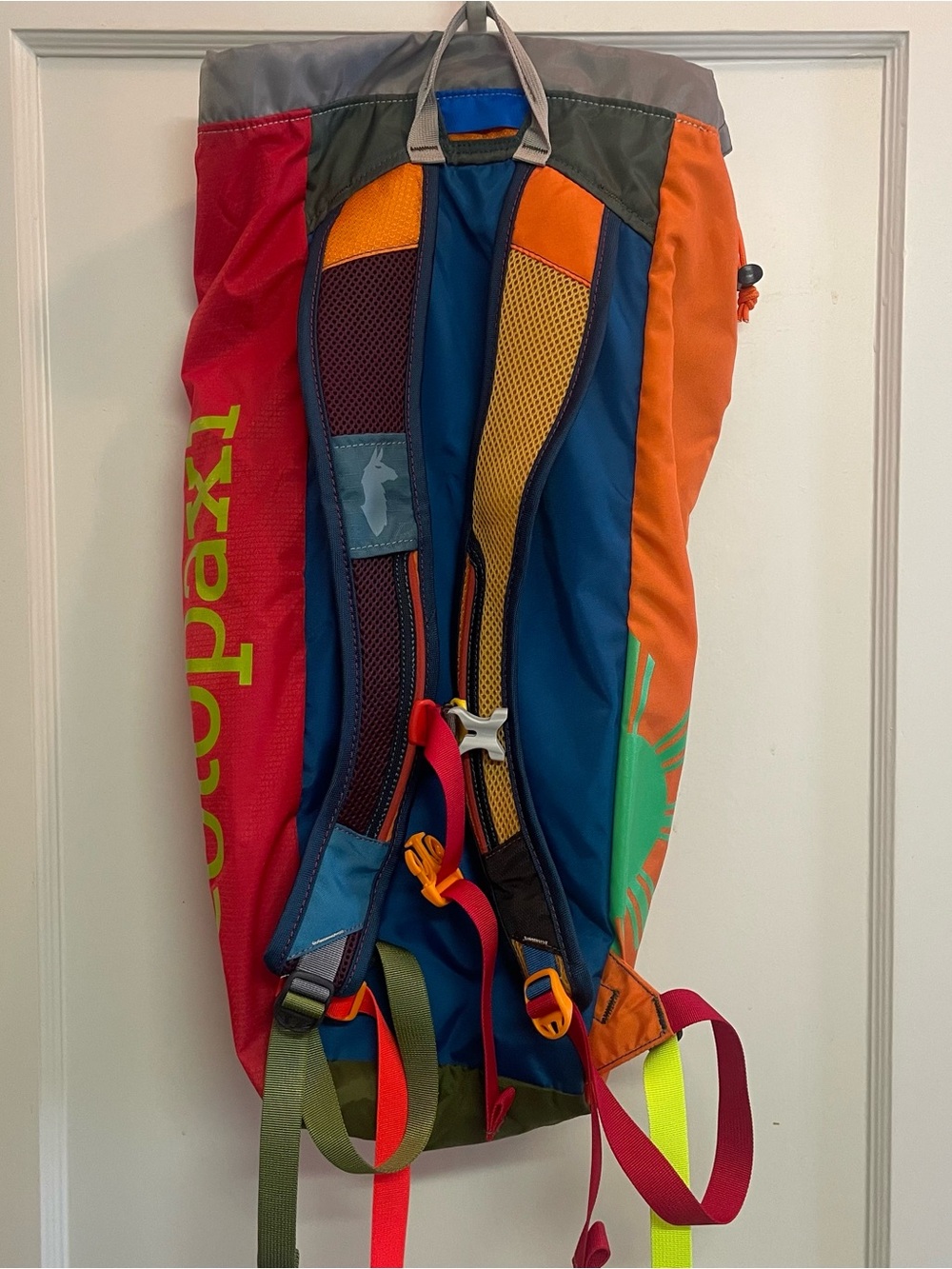 NWT Cotopaxi Luzon 18L Backpack - Picture 8 of 10